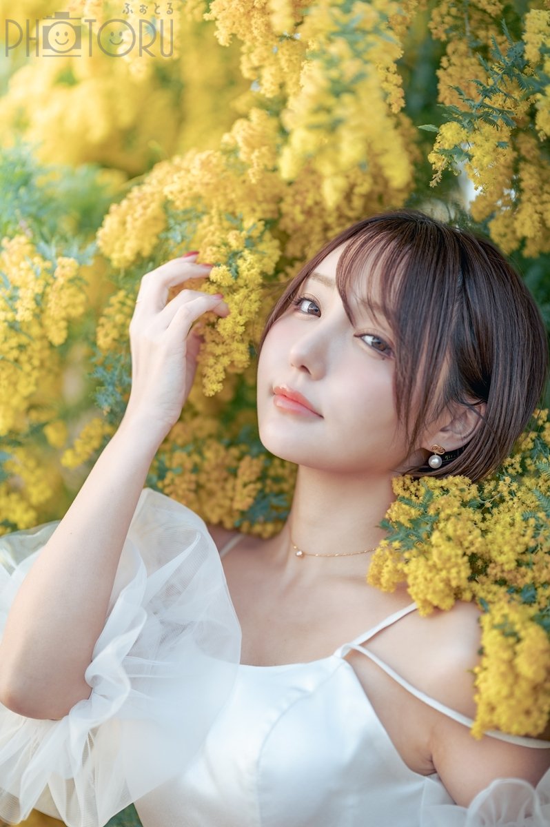 としのポートフォリオ4