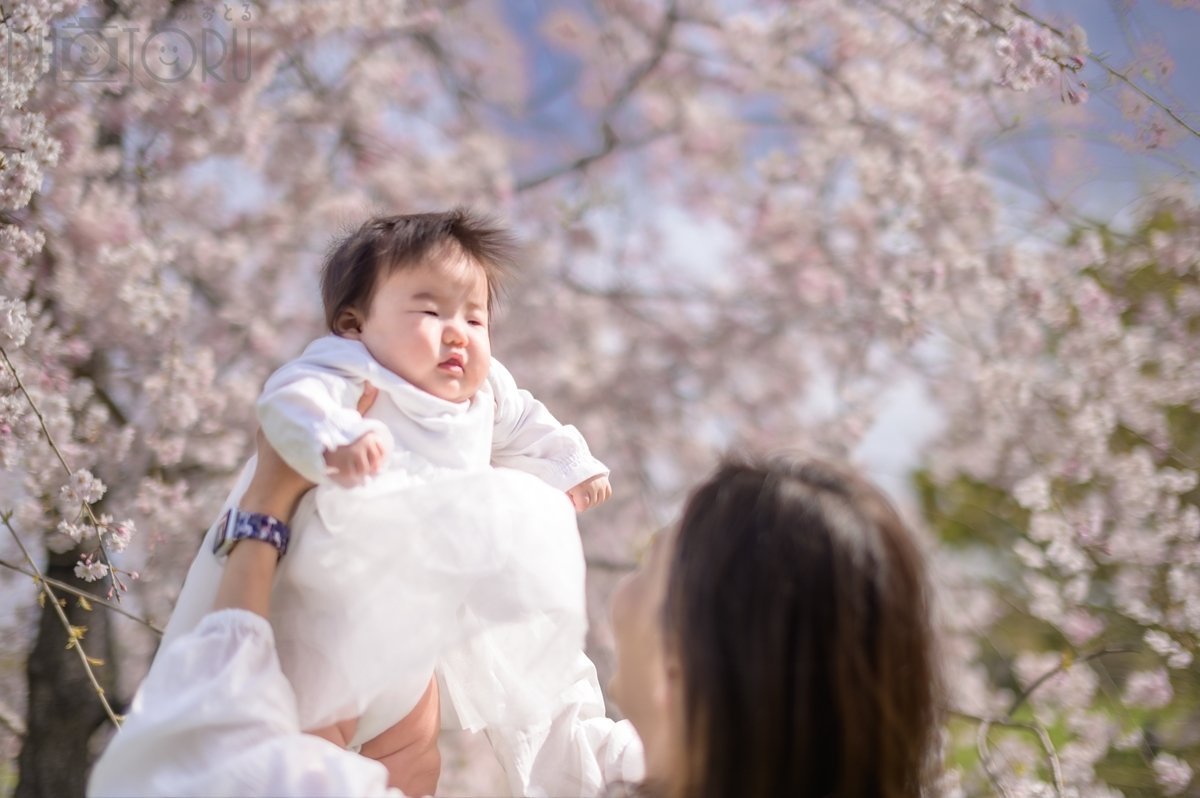 としのポートフォリオ8