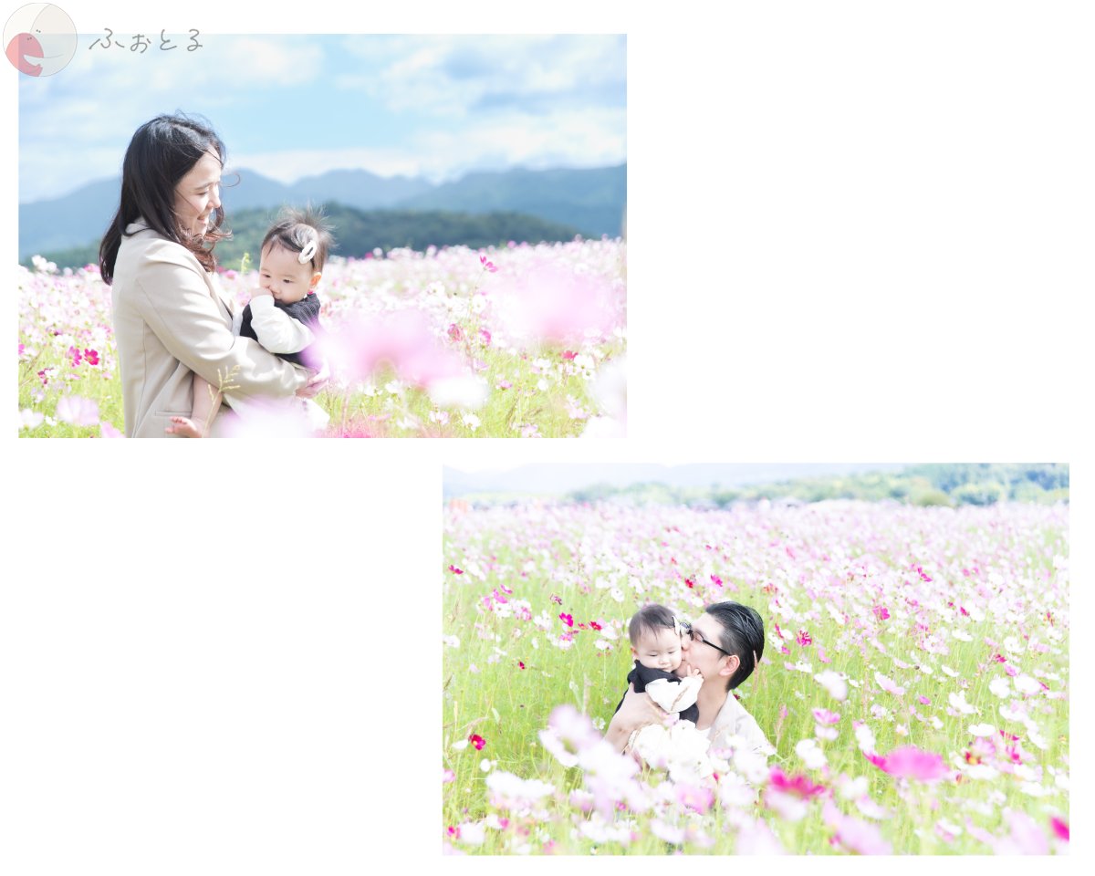 mainiti.photo.dayのポートフォリオ1