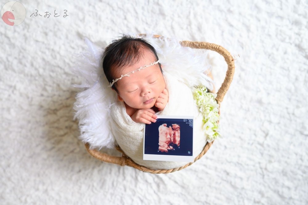 mainiti.photo.dayのポートフォリオ8