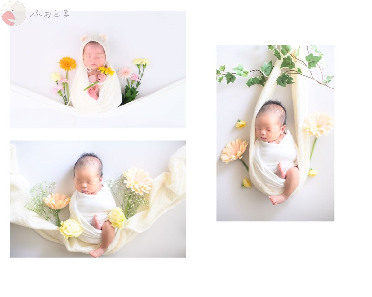 mainiti.photo.dayのポートフォリオ0