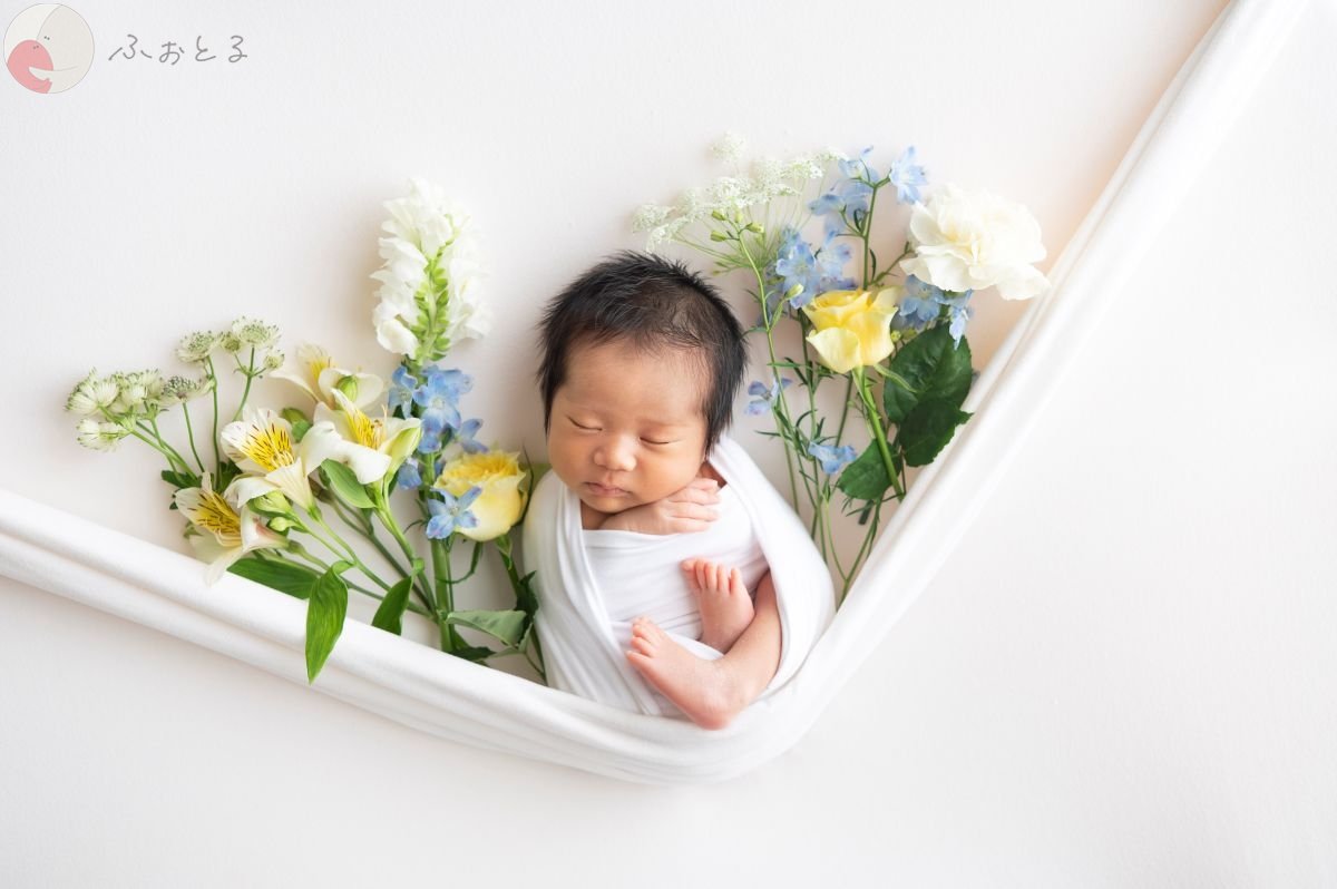mainiti.photo.dayのポートフォリオ0