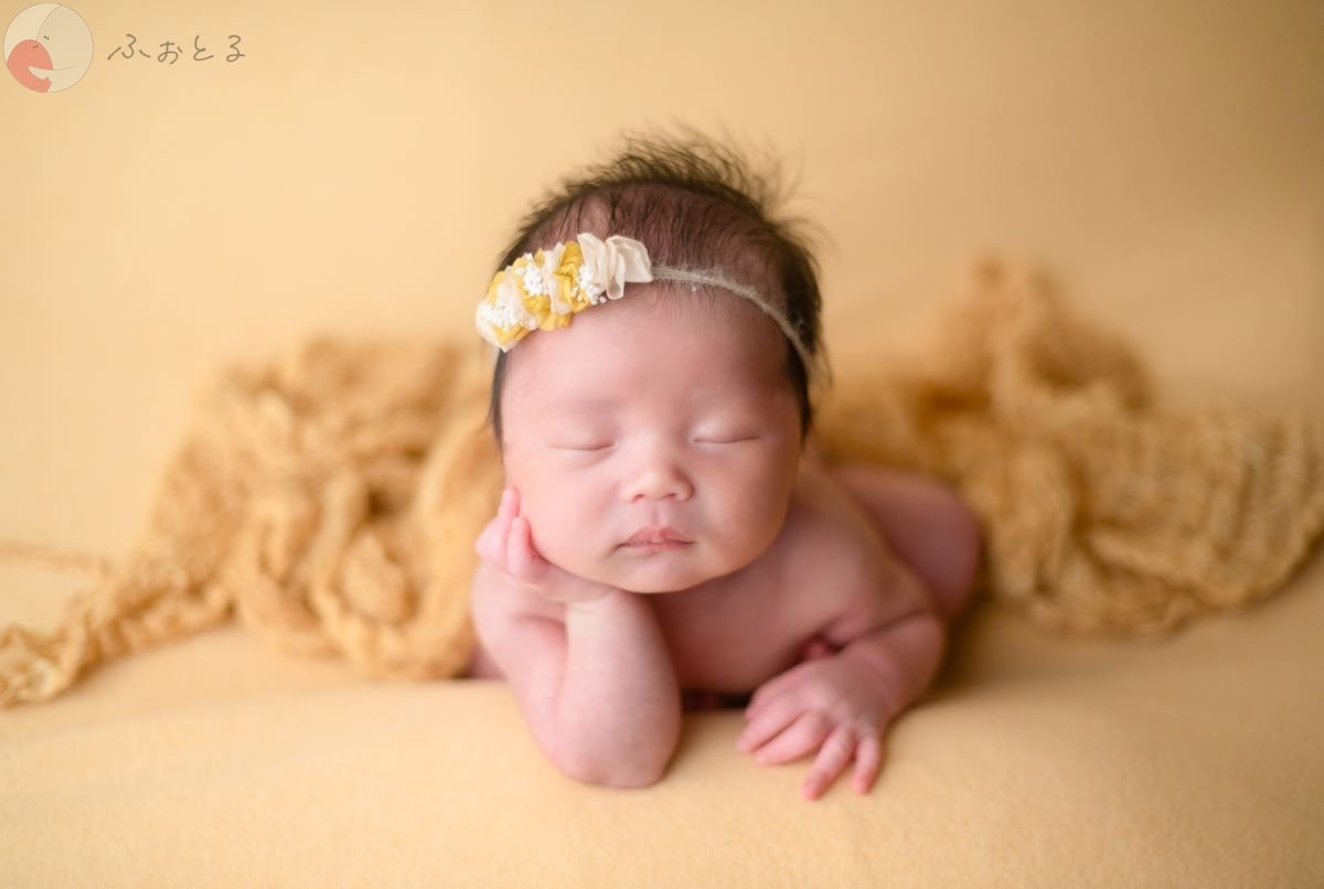 mainiti.photo.dayのポートフォリオ1