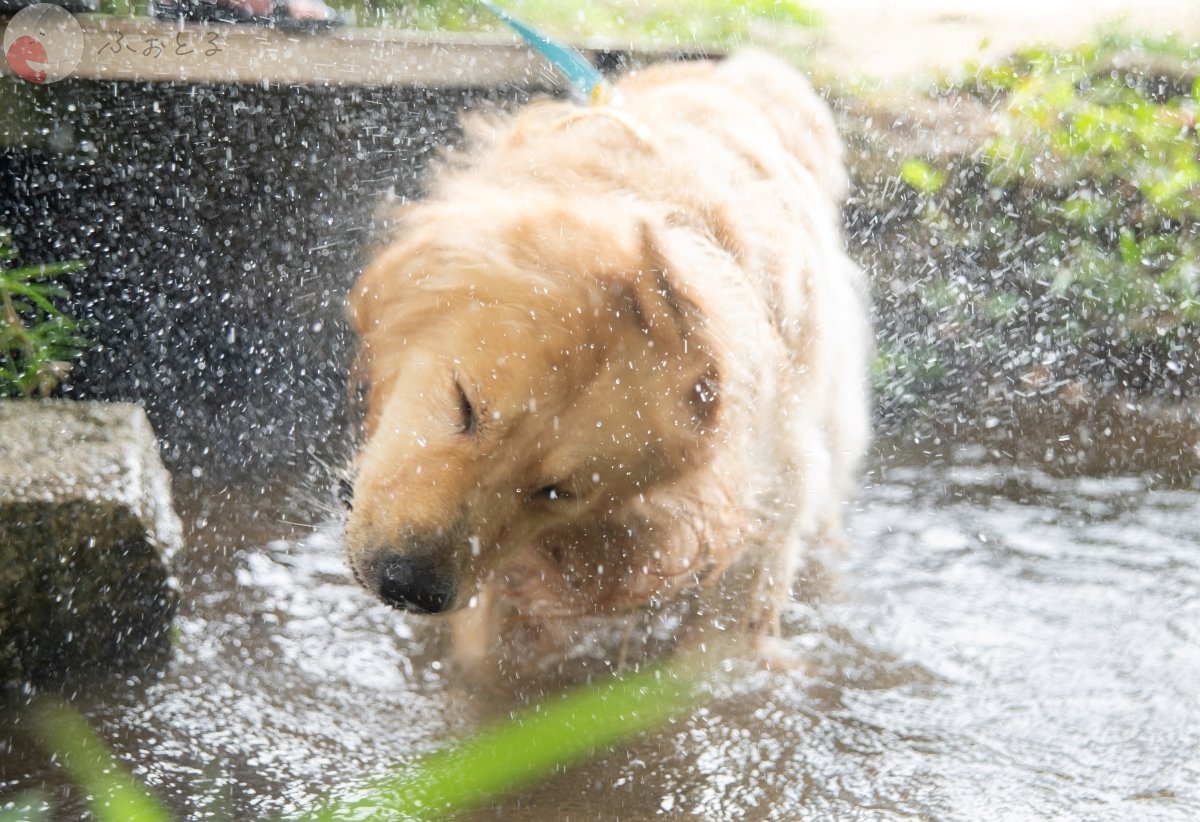 mainiti.photo.dayのポートフォリオ9