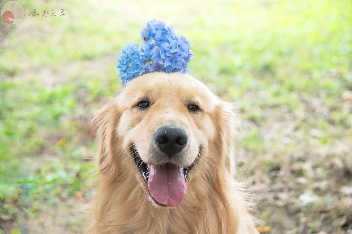 mainiti.photo.dayのポートフォリオ0