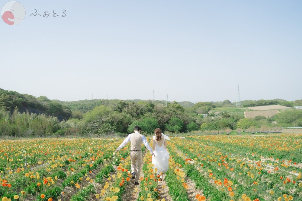 Maya(マヤ)のポートフォリオ5