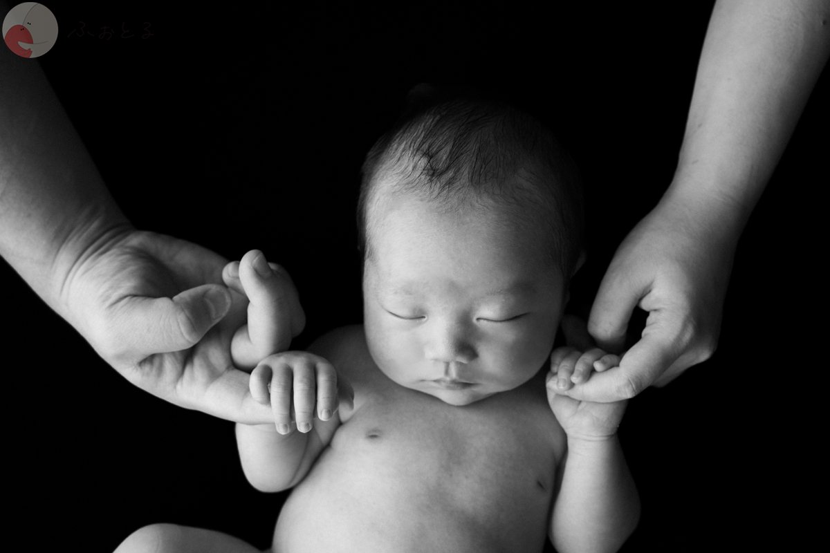 いなとものポートフォリオ5