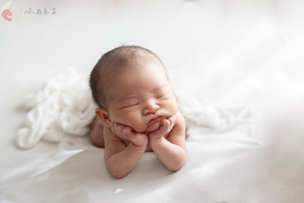 いなとものポートフォリオ8