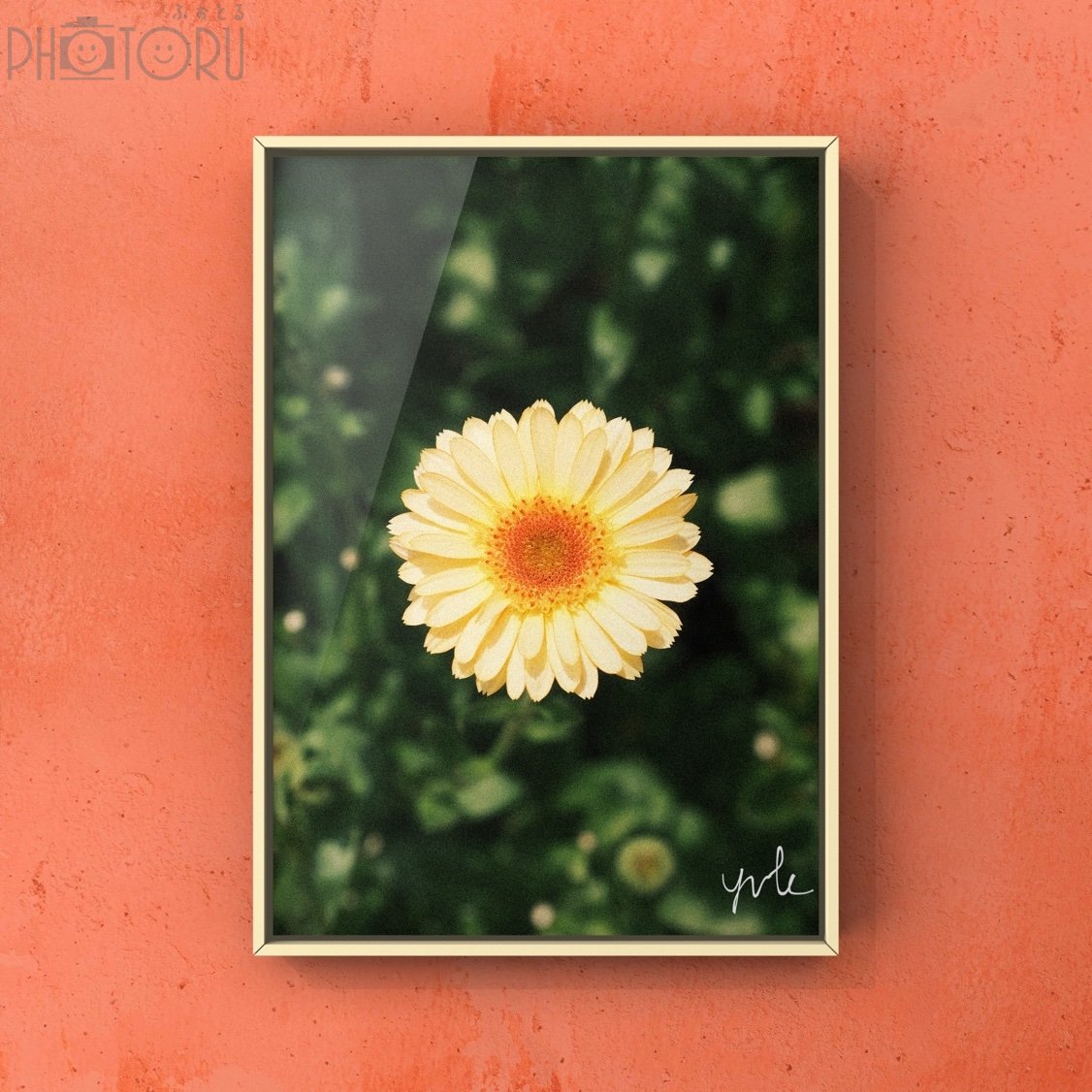 tayu_ema.のポートフォリオ3