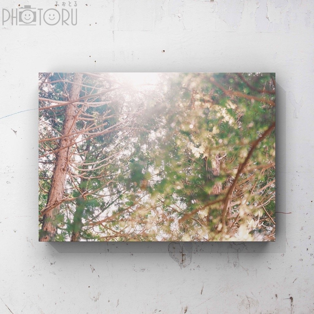 tayu_ema.のポートフォリオ6