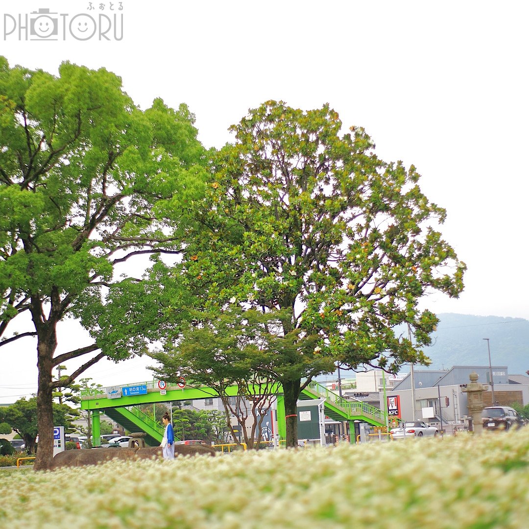 ぎょんのポートフォリオ5