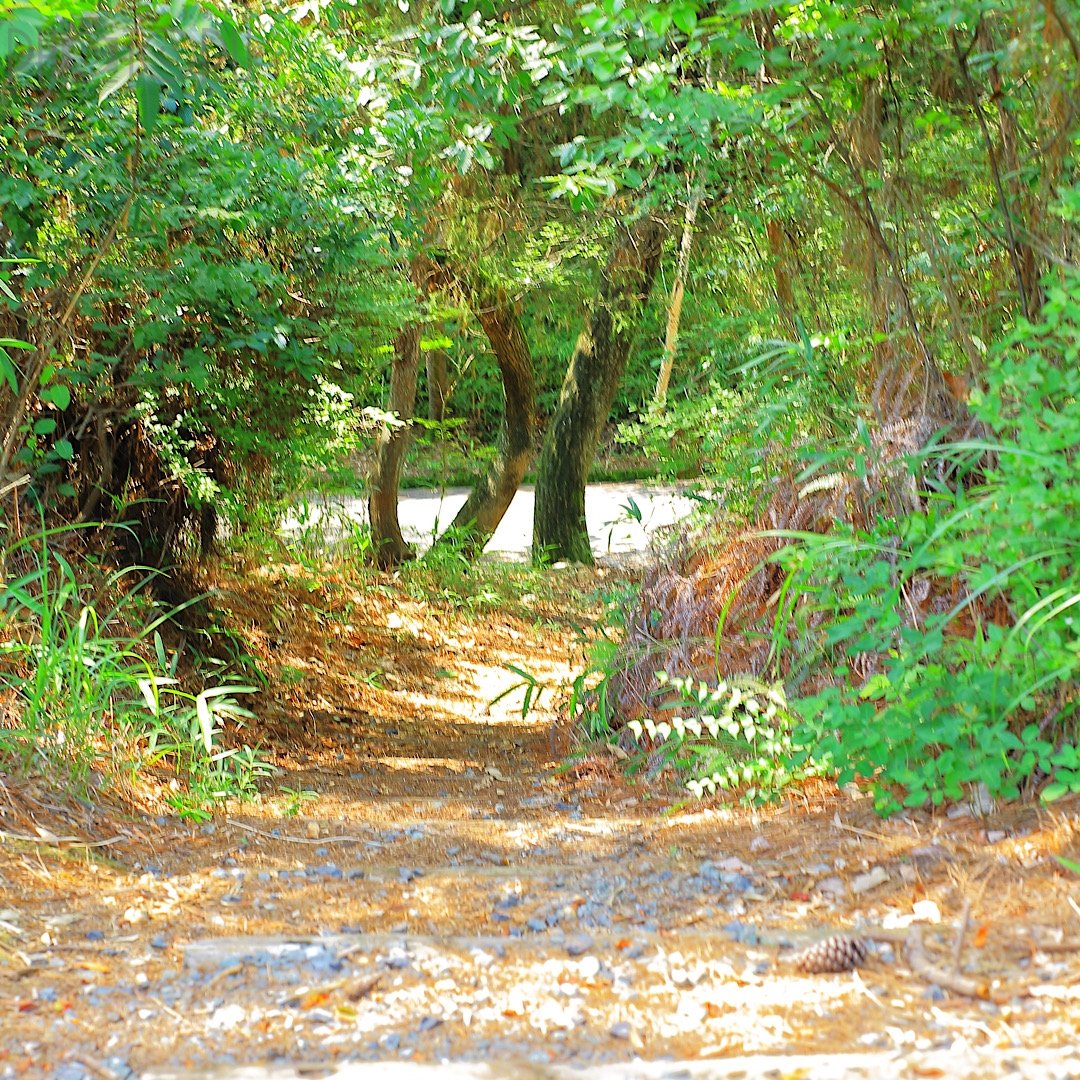 ぎょんのポートフォリオ8