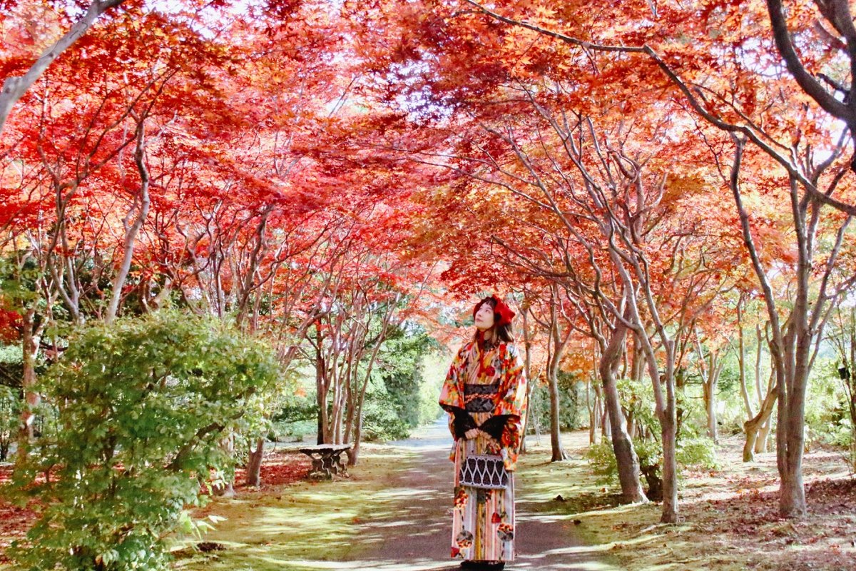 ゆうのポートフォリオ5