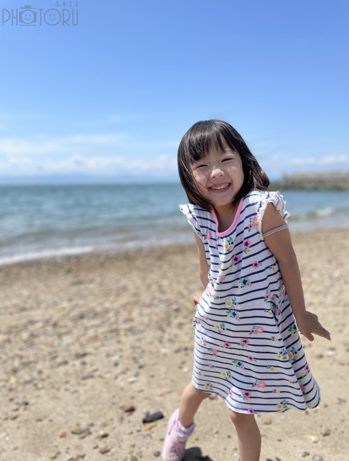 杏のポートフォリオ4