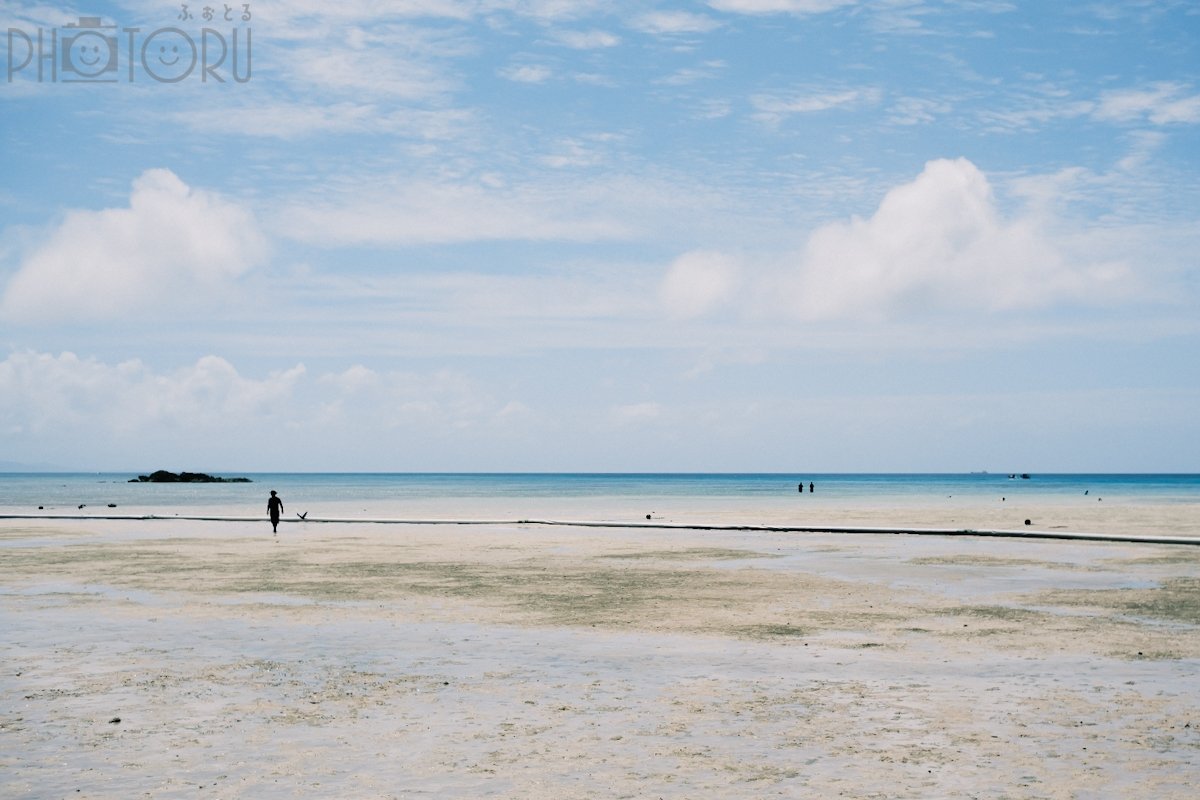 オオヤマチカシのポートフォリオ5