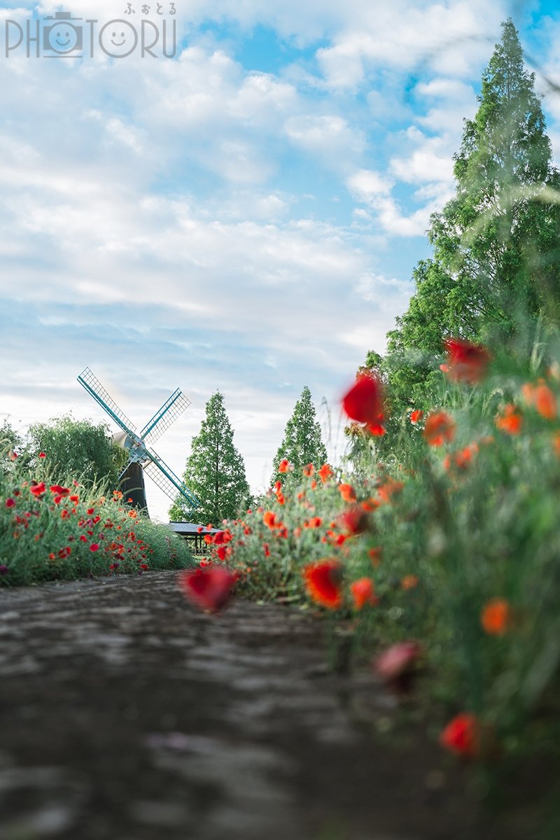 LaKi（ラキ）のポートフォリオ4