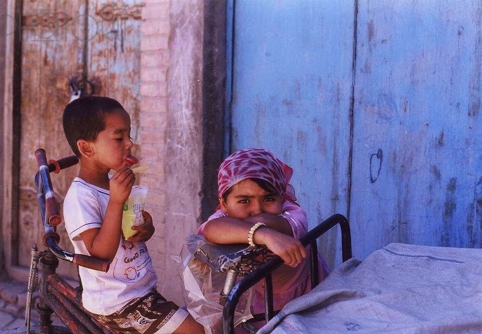 シウシウのポートフォリオ2