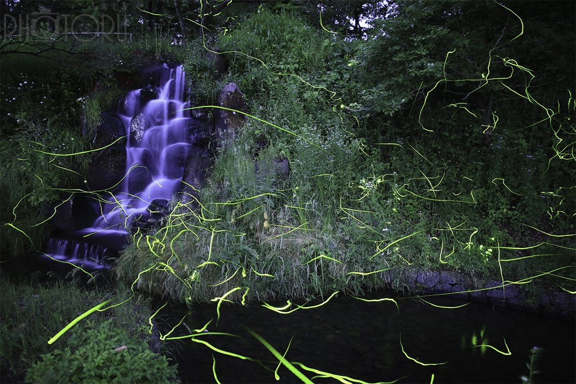 sachiのポートフォリオ6