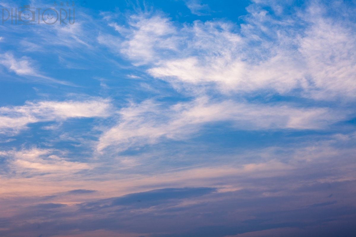 丸山のポートフォリオ6