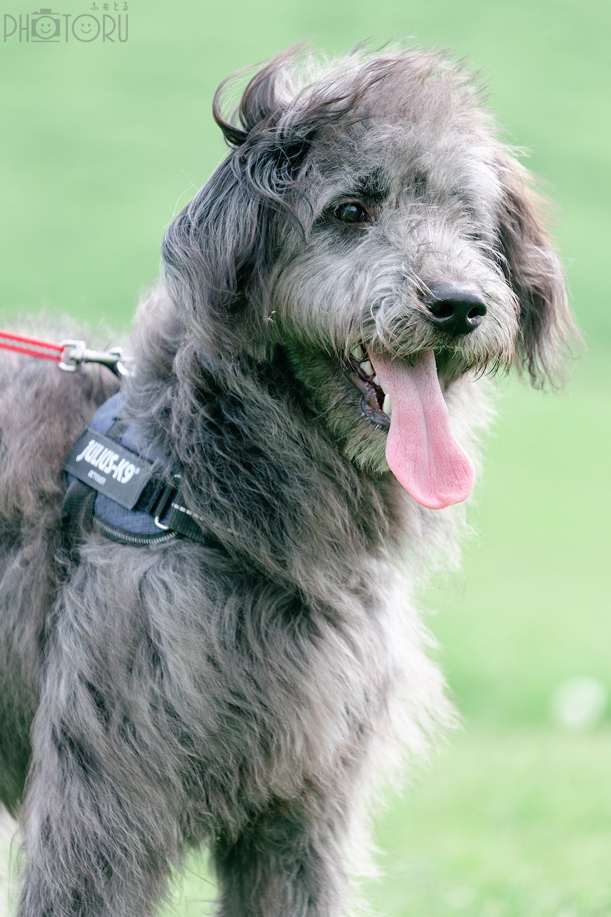 長谷川龍翔のポートフォリオ5