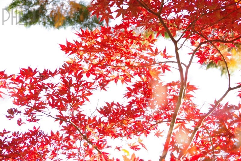 メグのポートフォリオ9