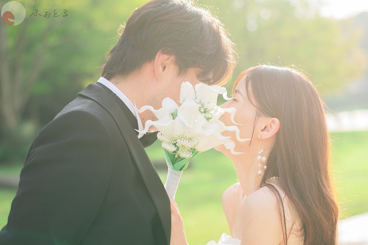 NoL（のえる）のポートフォリオ1