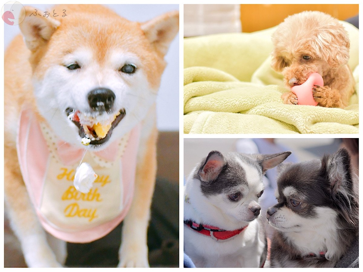 NoL（のえる）のポートフォリオ8