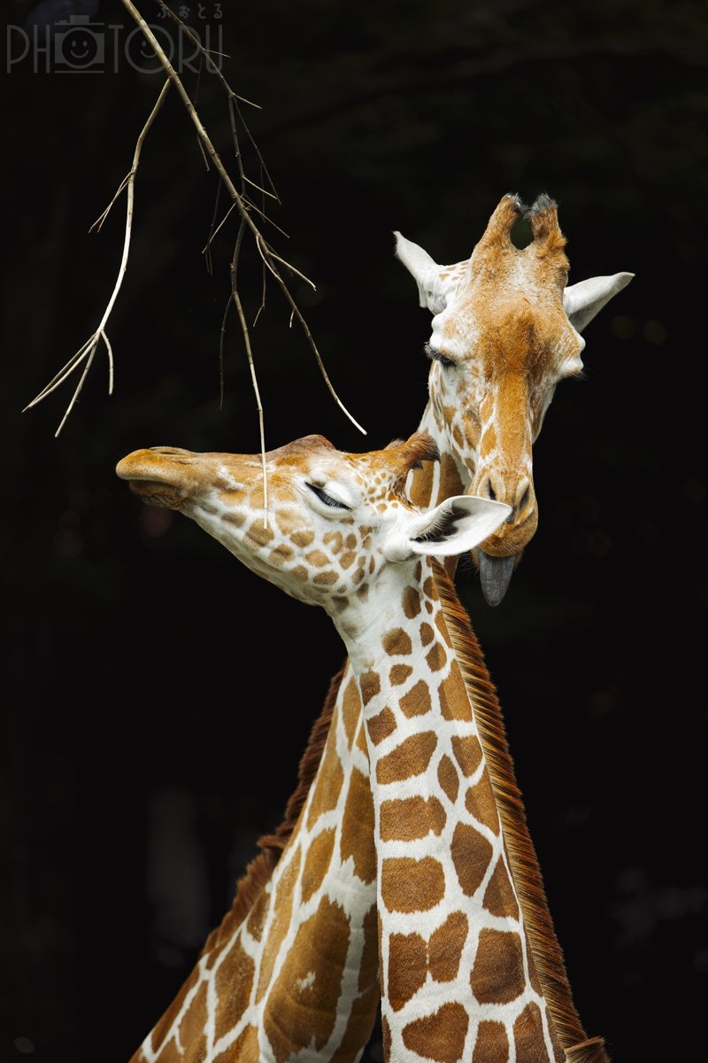 おもいつきのポートフォリオ7