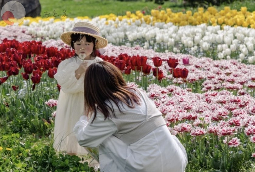 ゆうきフォトのポートフォリオ6