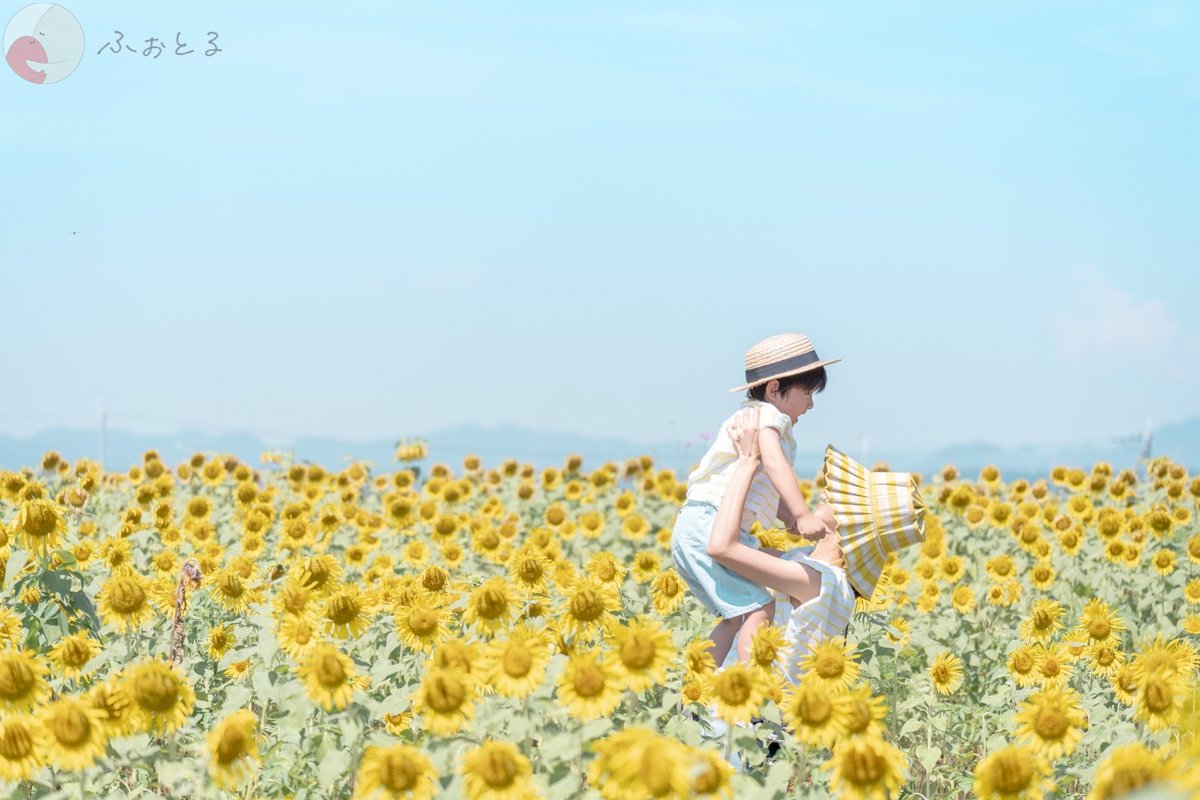 erikoのポートフォリオ7