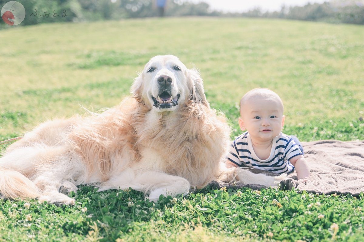 ムラカミ カズマのポートフォリオ8