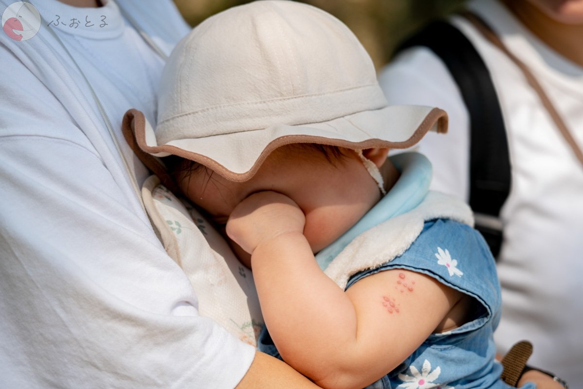 Sunshine_vision_33のポートフォリオ0