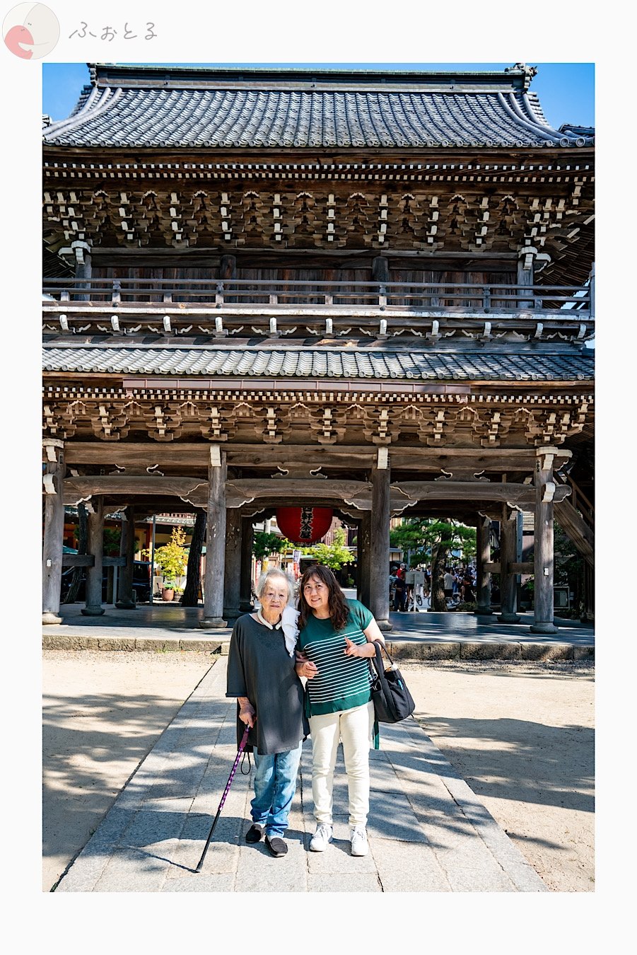 Sunshine_vision_33のポートフォリオ5