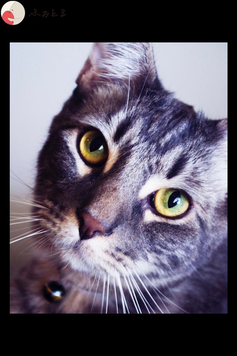 Sunshine_vision_33のポートフォリオ6