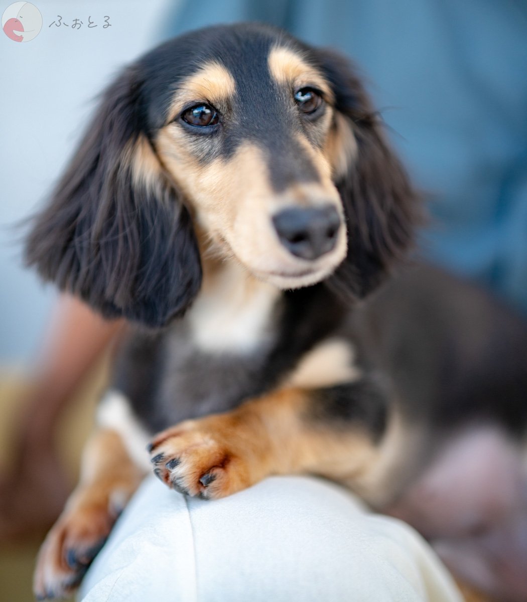 Sunshine_vision_33のポートフォリオ1