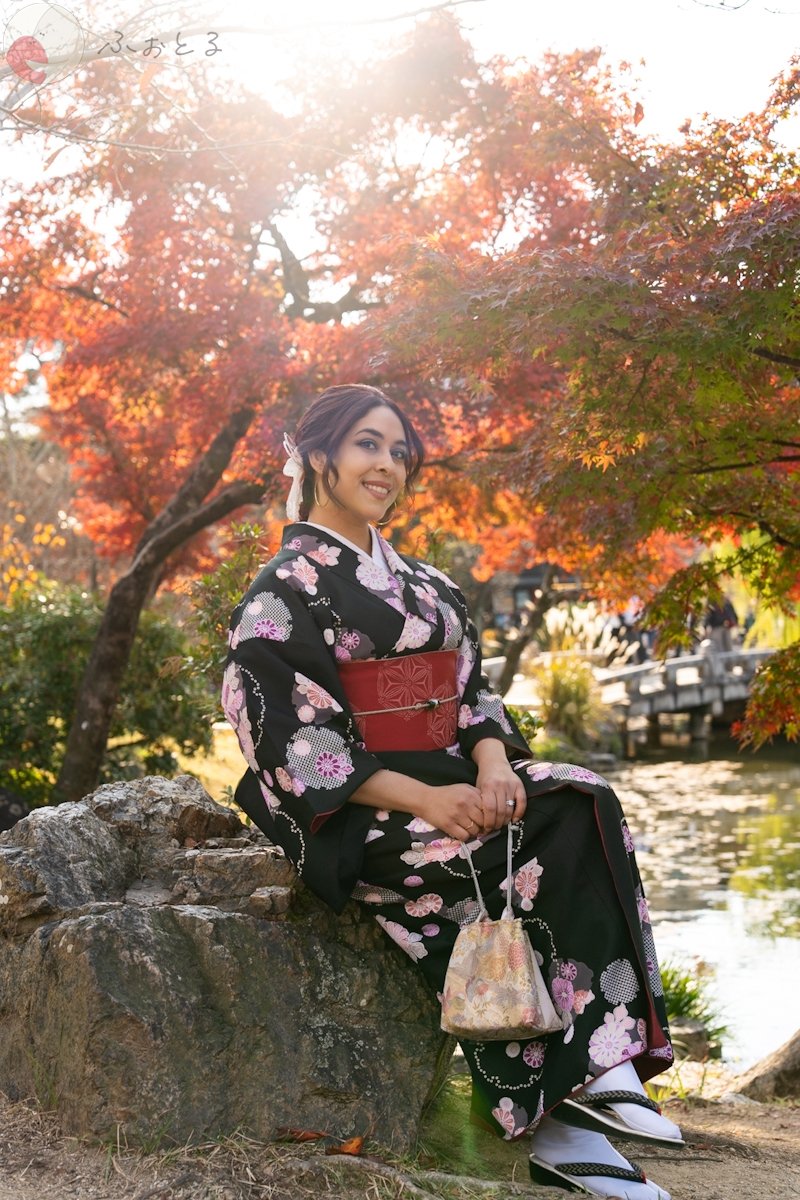 Sunshine_vision_33のポートフォリオ0