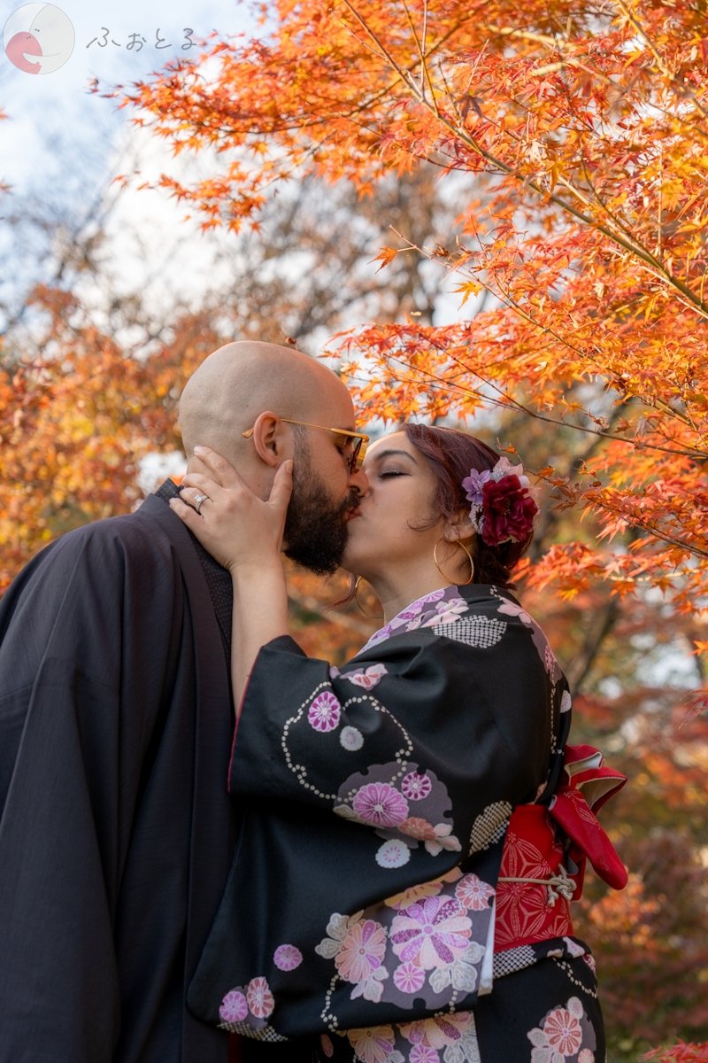 Sunshine_vision_33のポートフォリオ1