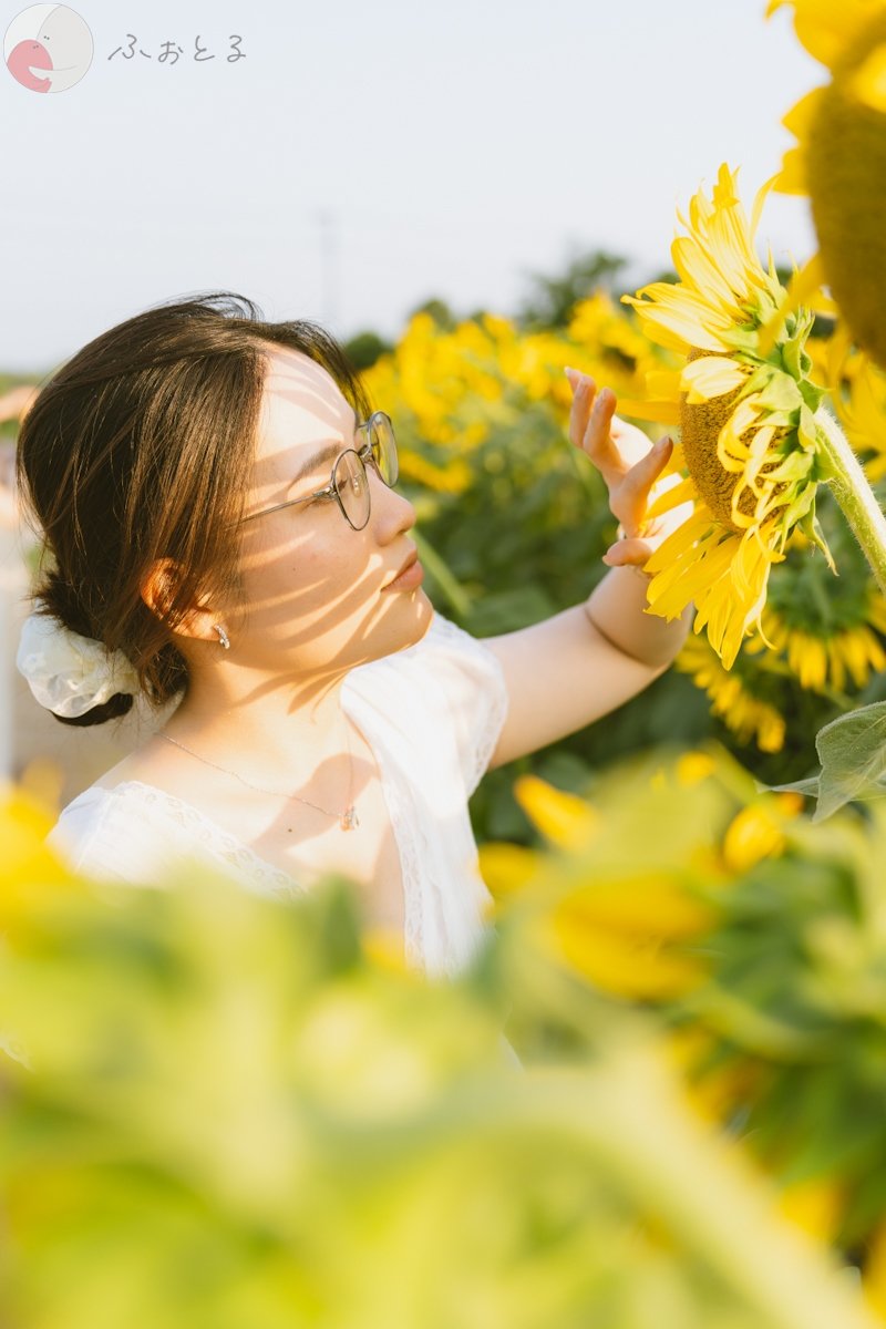 Sunshine_vision_33のポートフォリオ9