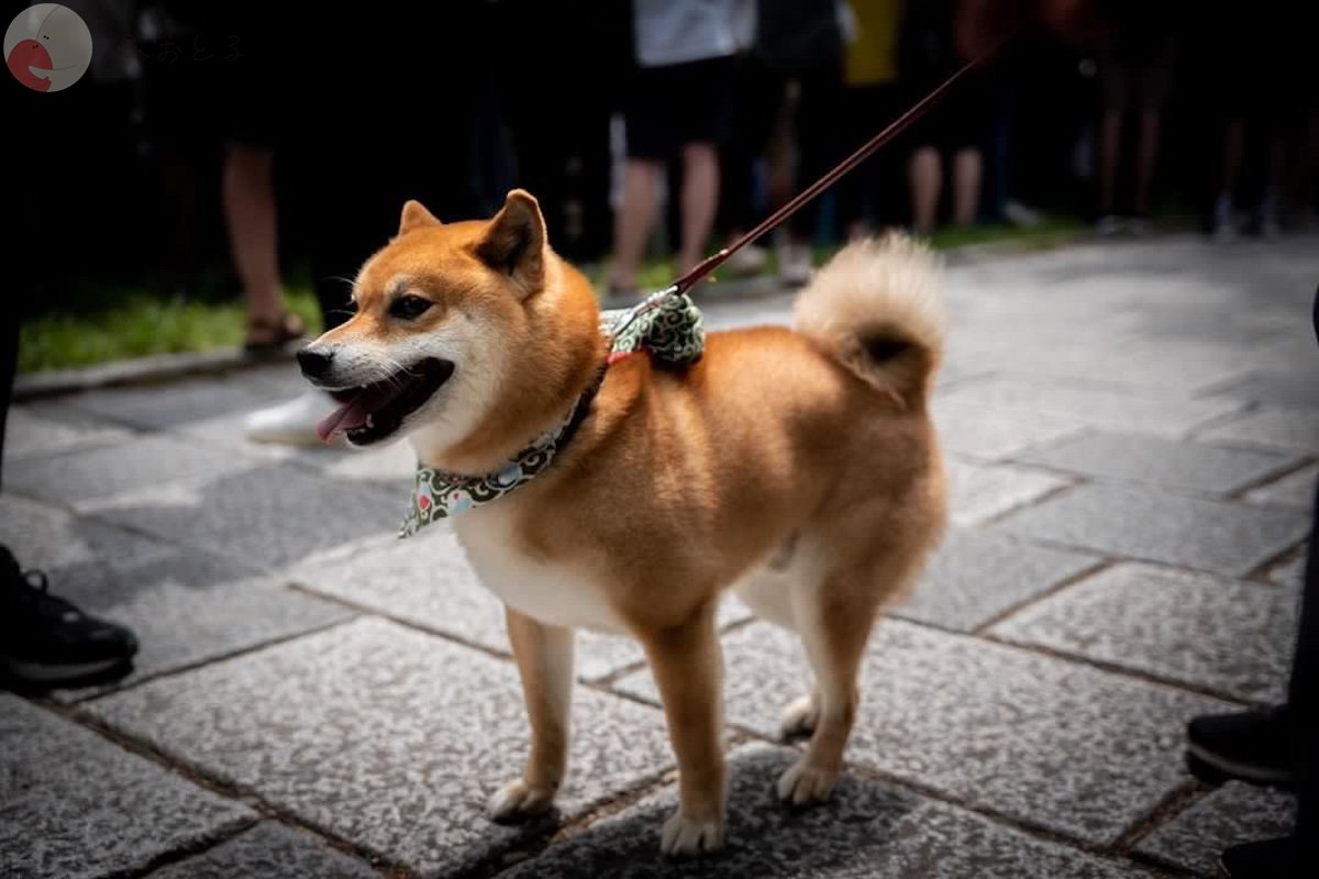 Sunshine_vision_33のポートフォリオ2