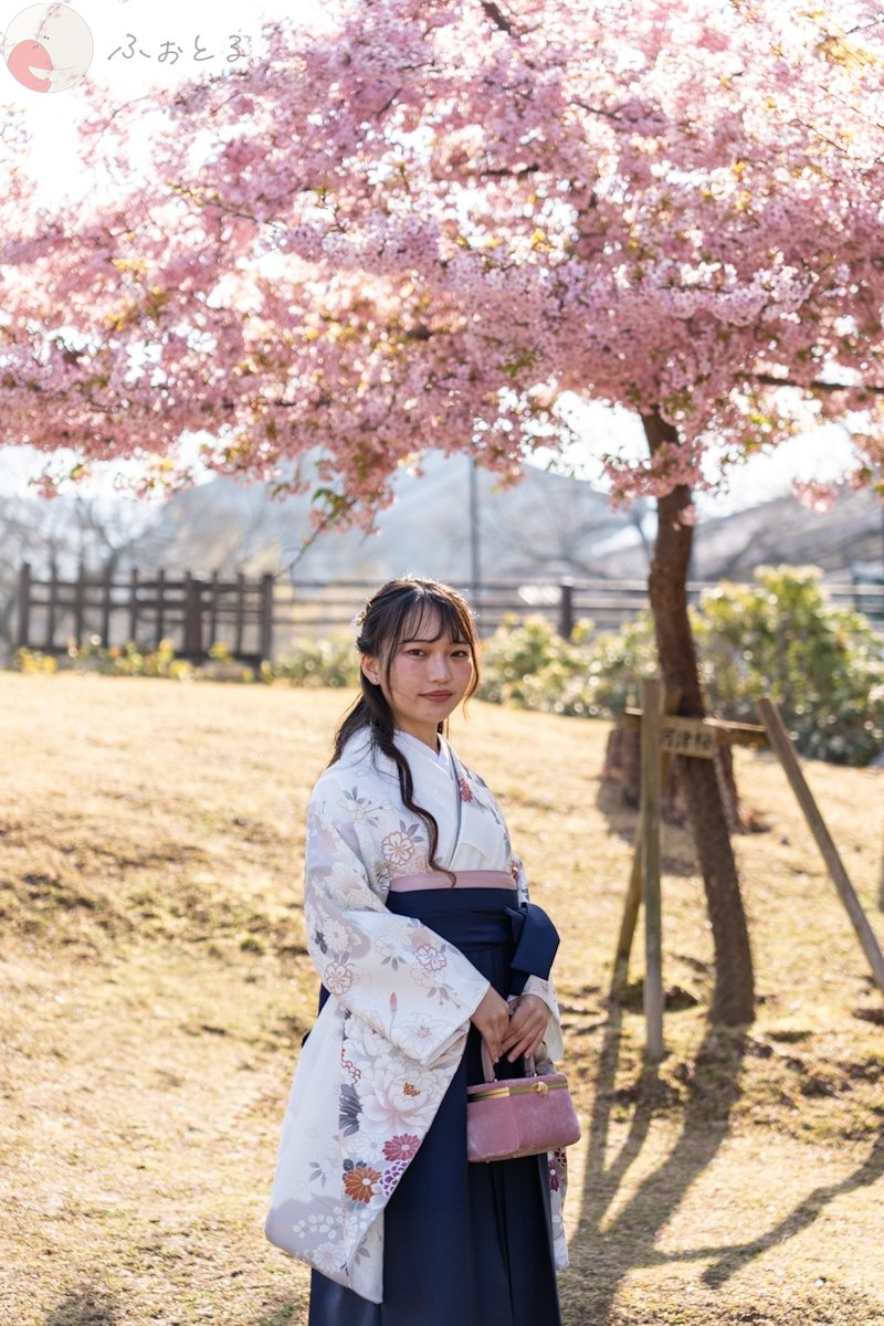 Sunshine_vision_33のポートフォリオ2