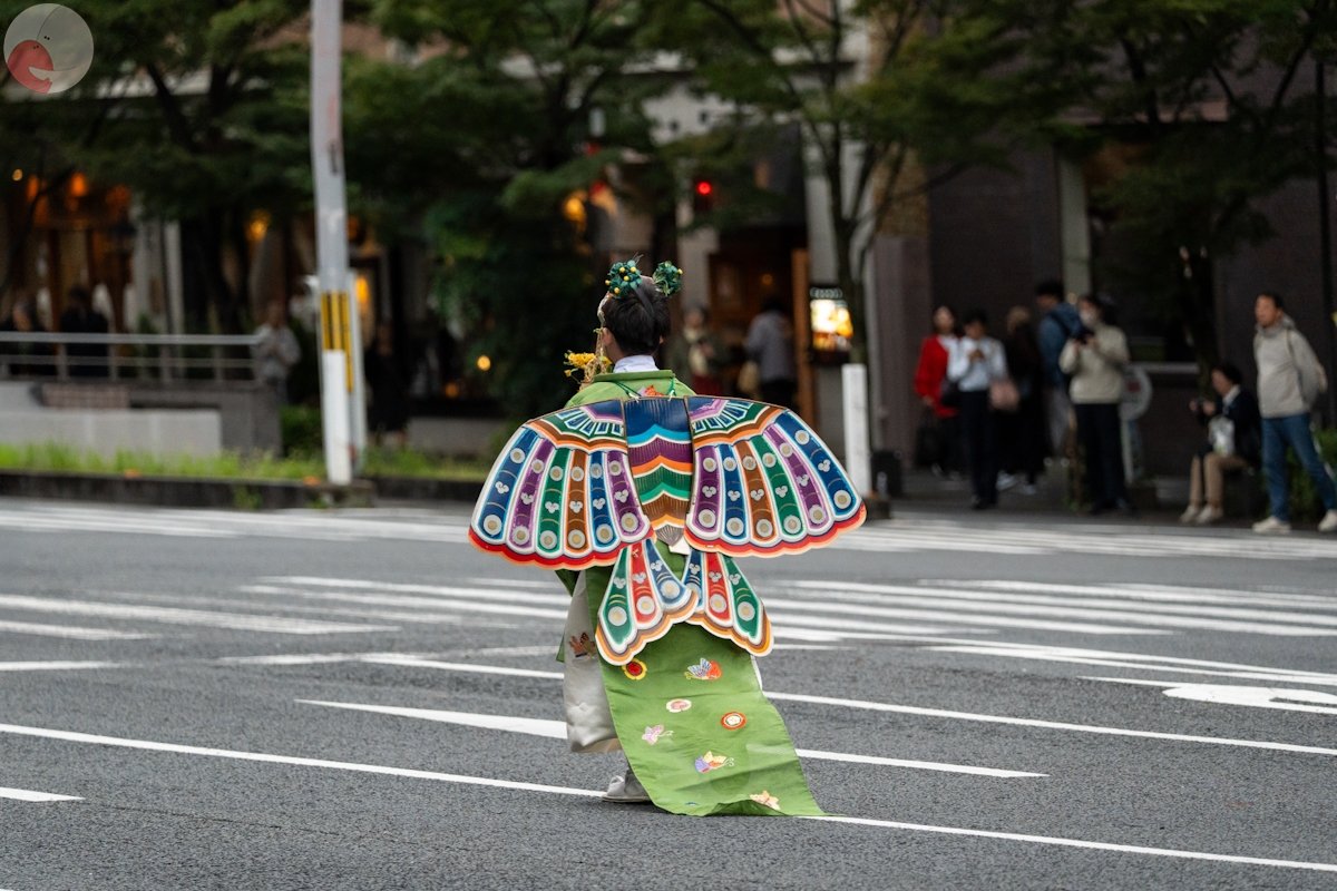 Sunshine_vision_33のポートフォリオ3