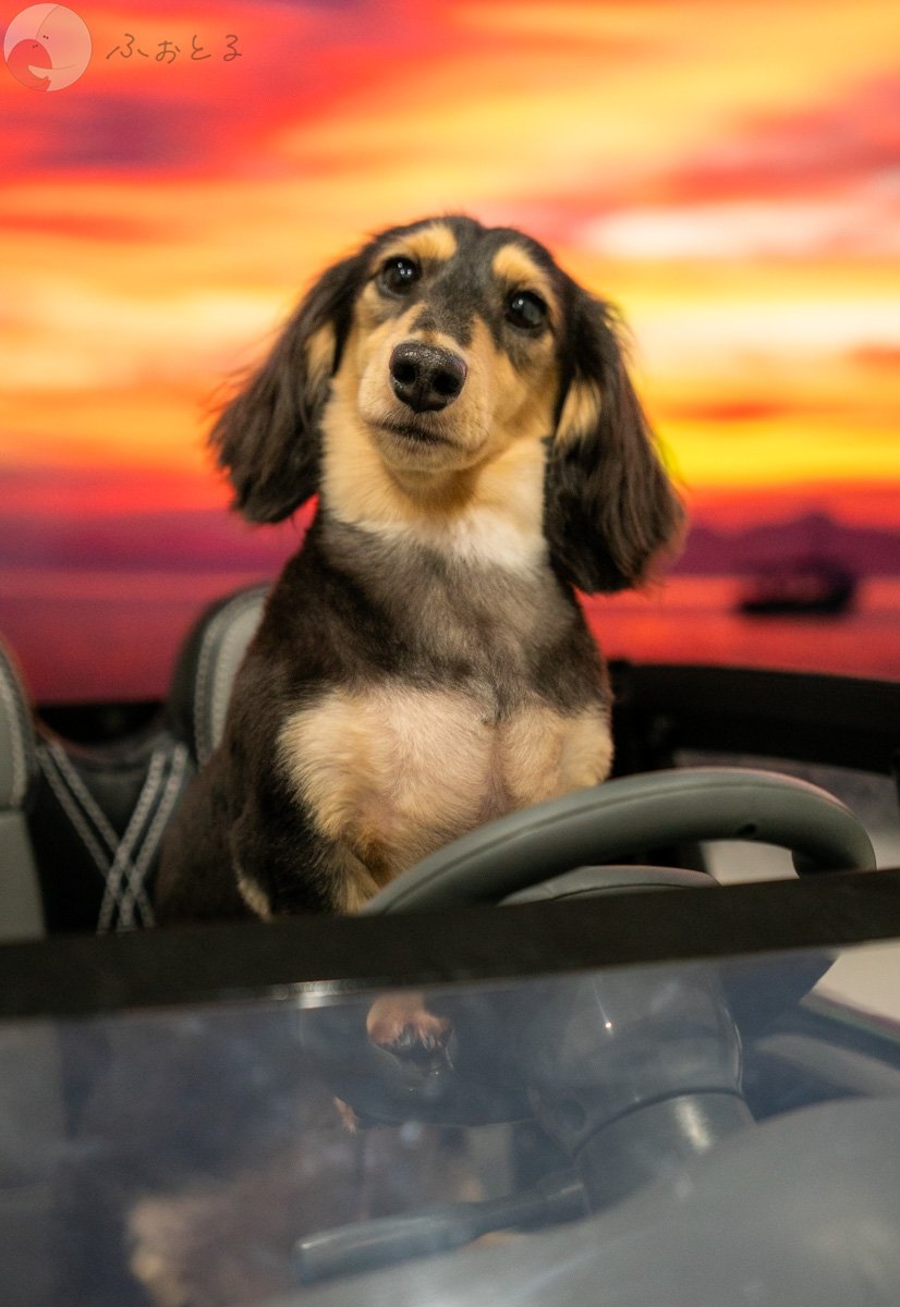 Sunshine_vision_33のポートフォリオ5