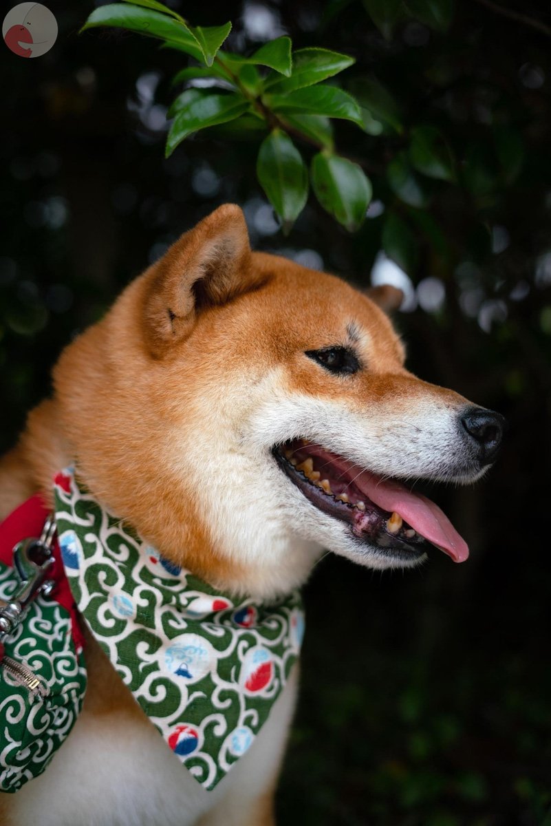 Sunshine_vision_33のポートフォリオ7