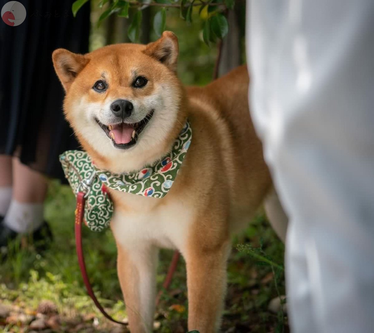 Sunshine_vision_33のポートフォリオ8