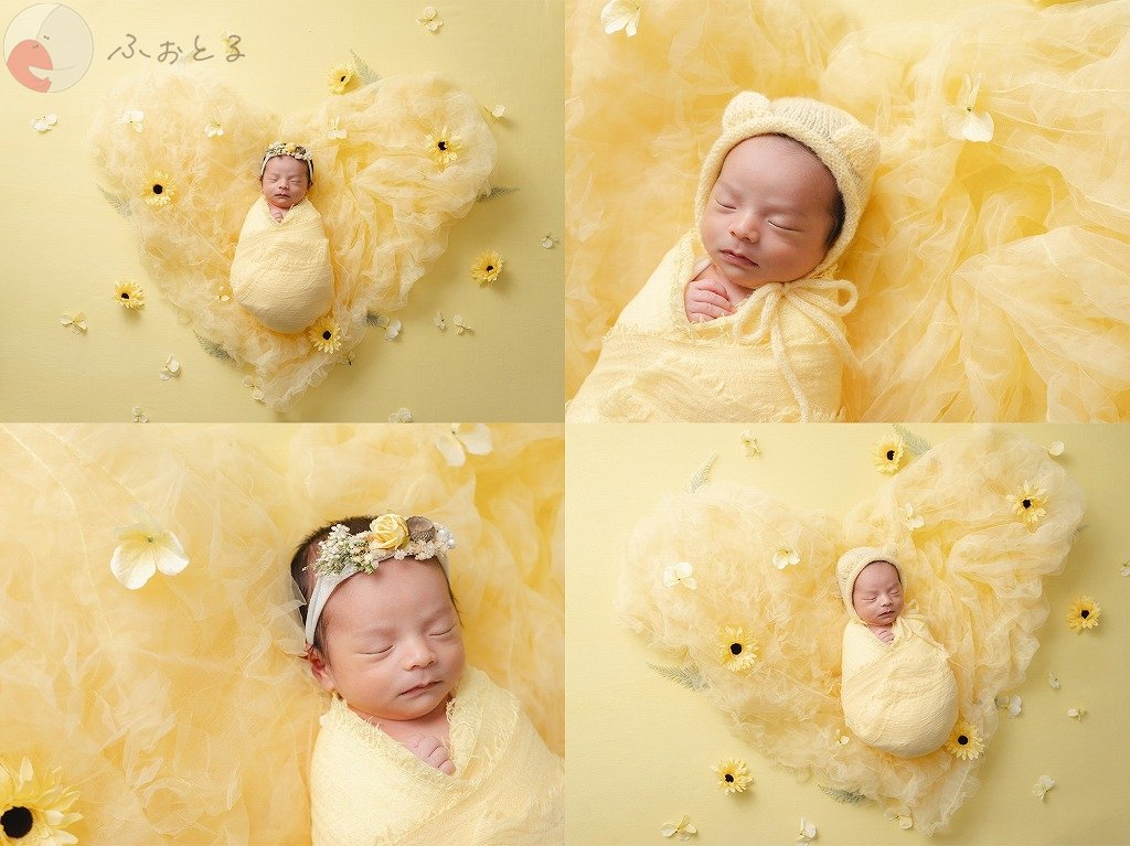 ikuのポートフォリオ1