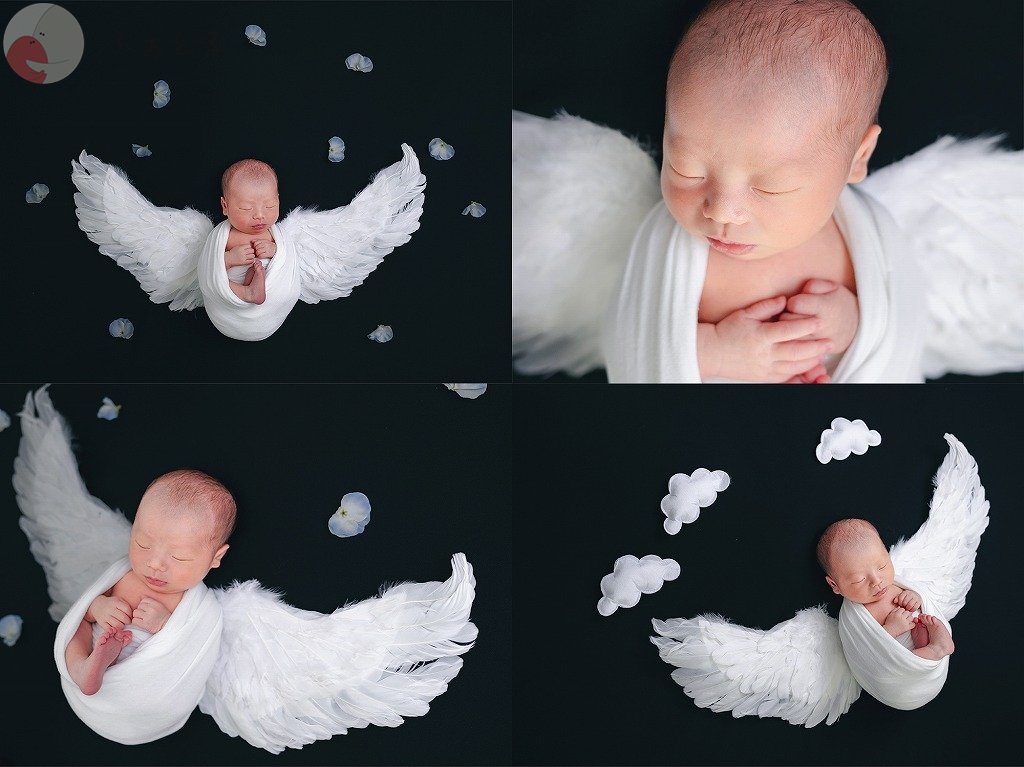 ikuのポートフォリオ6