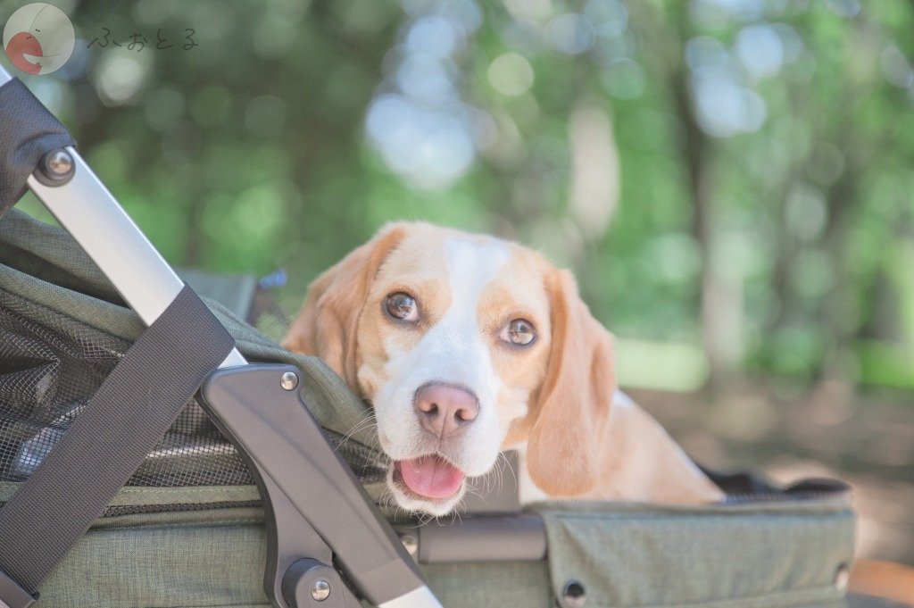 Wadachi Studioのポートフォリオ7