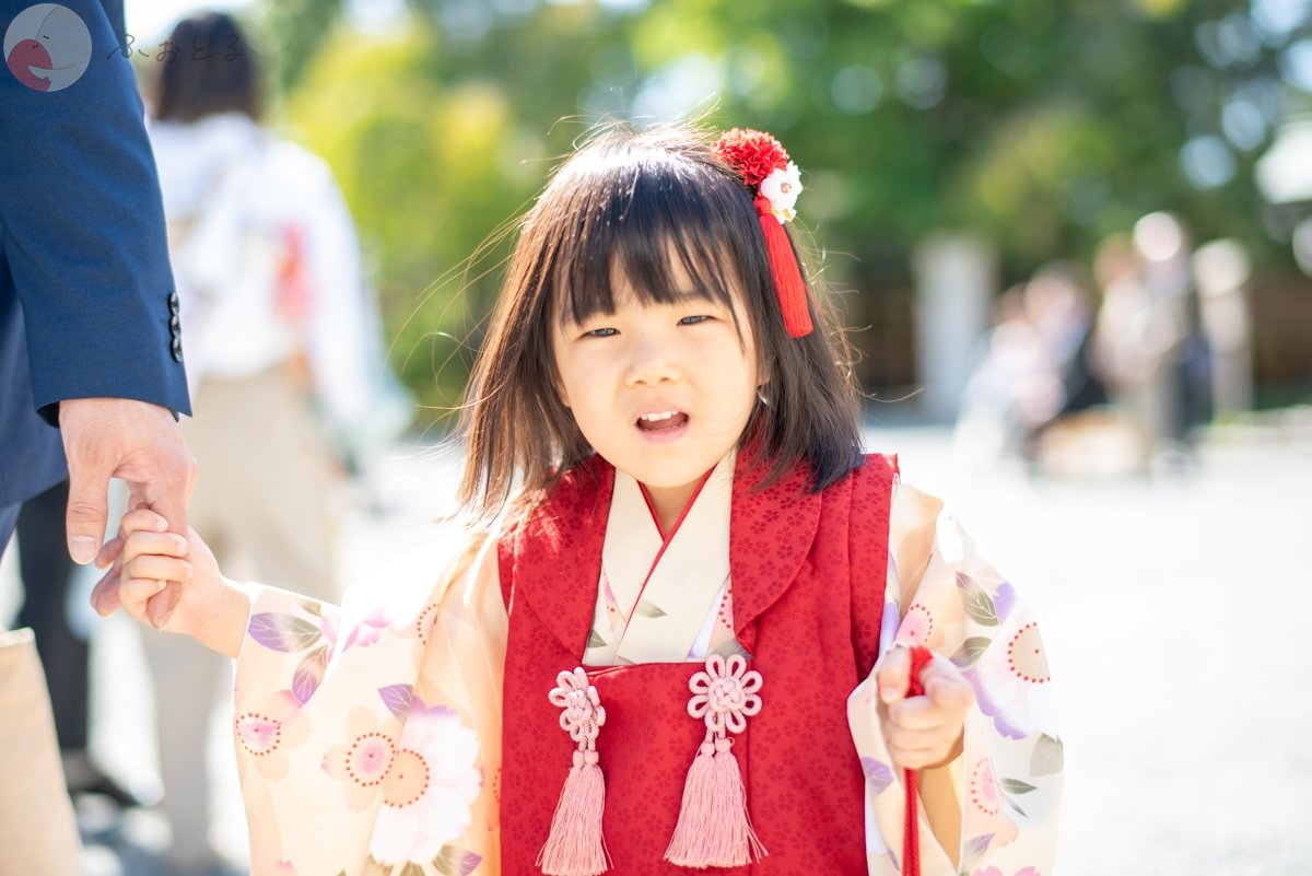 森元こずえのポートフォリオ4