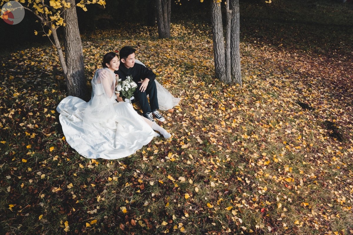 Shunsuke Naitoのポートフォリオ6