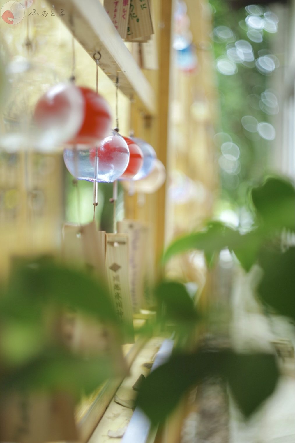 こうきのポートフォリオ6